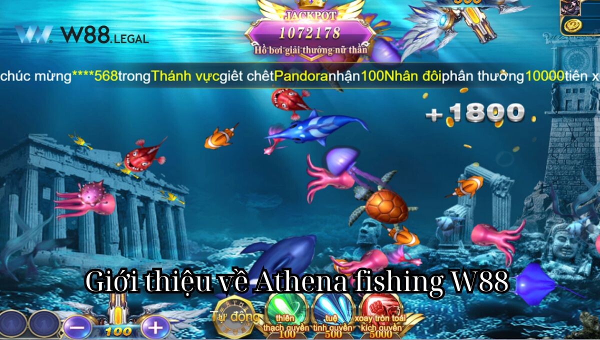 Giới thiệu về Athena fishing W88 