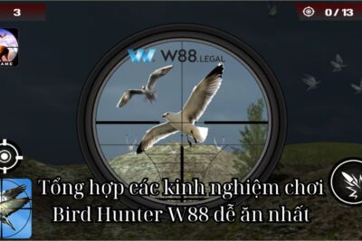 Hướng dẫn mới nhất về cách chơi của Bird Hunter W88