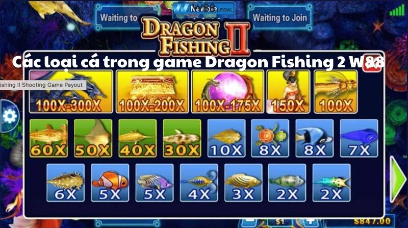  Các loại cá trong game Dragon Fishing 2 W88