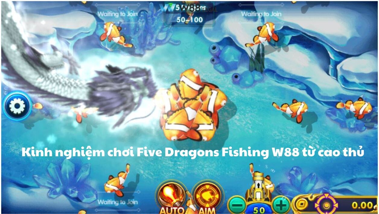 Kinh nghiệm chơi Five Dragons Fishing W88 từ cao thủ