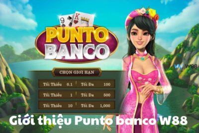 Hướng dẫn chơi Punto banco W88 cho tân thủ