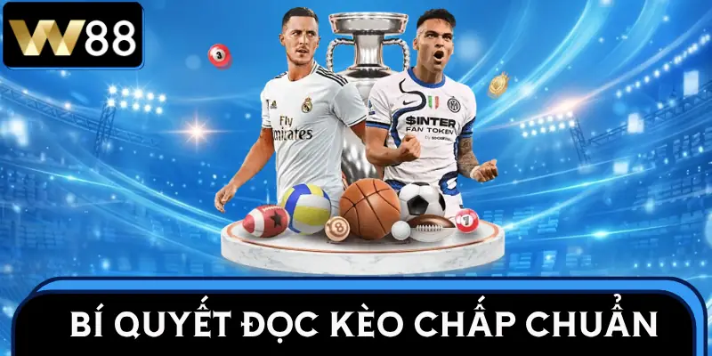 keo-chap-nha-cai-meo-choi