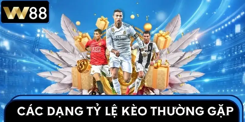 ty-le-keo-chuan-nhung-loai